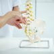 how chiropractic adjustments work